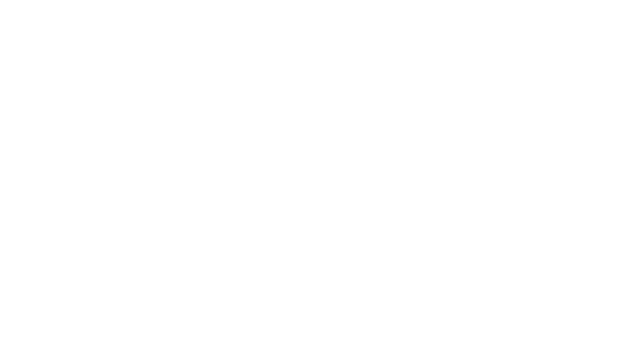 nbt pakistan Logo